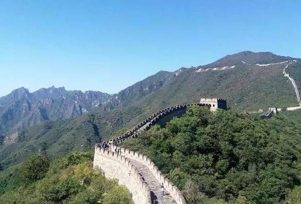 为什么虫子变态后只能活几天_完全变态的昆虫幼虫叫什么_完全变态的昆虫会蜕皮吗