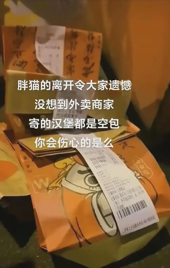 胖毛在线现在的进展情况_胖毛在线安全吗_胖毛在线好不好