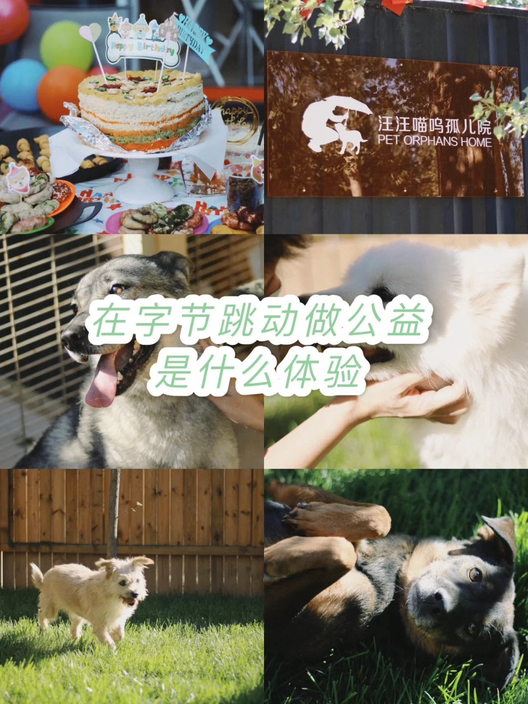 捐步数是什么软件_捐步数有什么好处_明星捐步数是什么软件