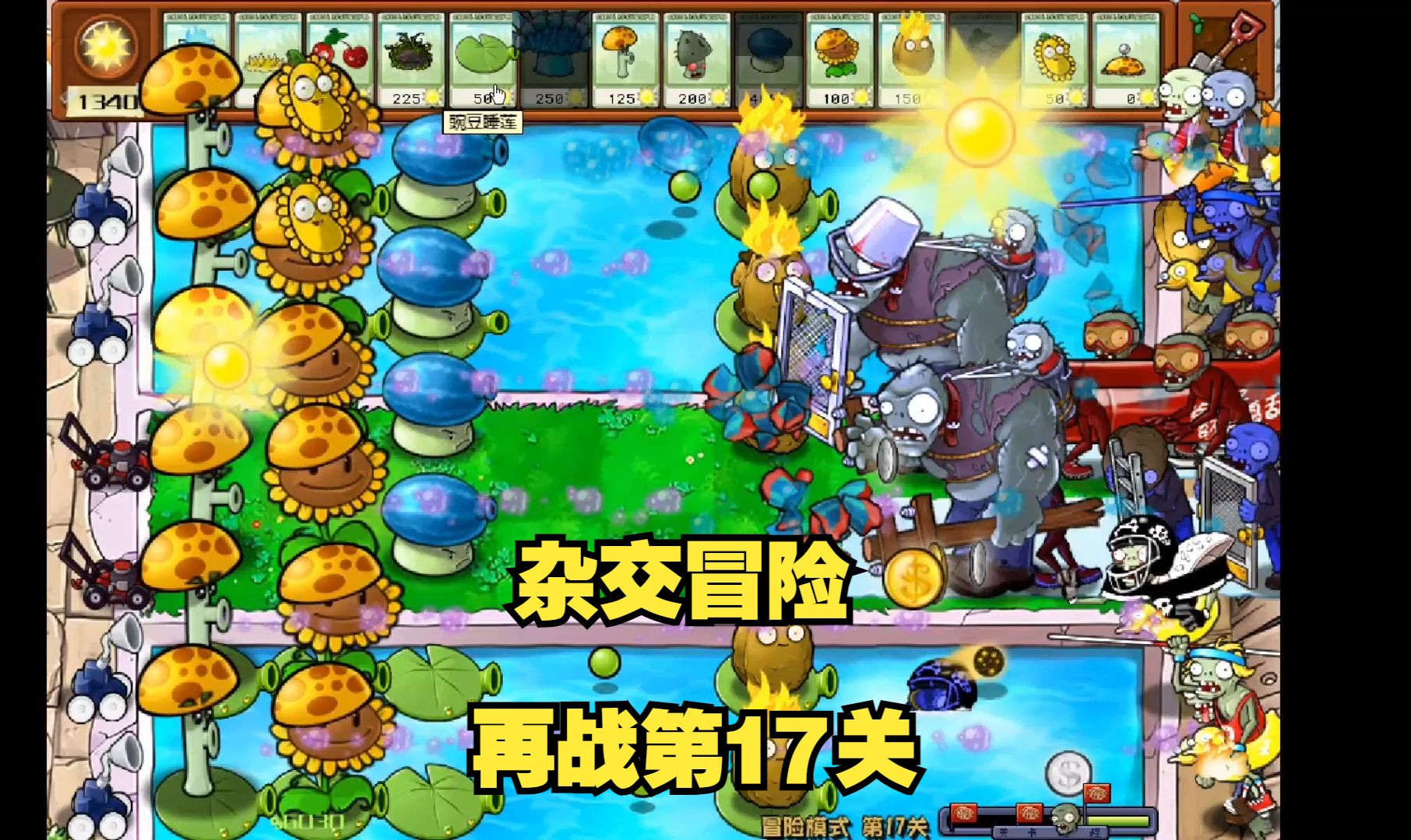 植物大战僵2断网刷宝箱_植物大战僵尸刷宝箱_植物大战僵尸断网刷碎片