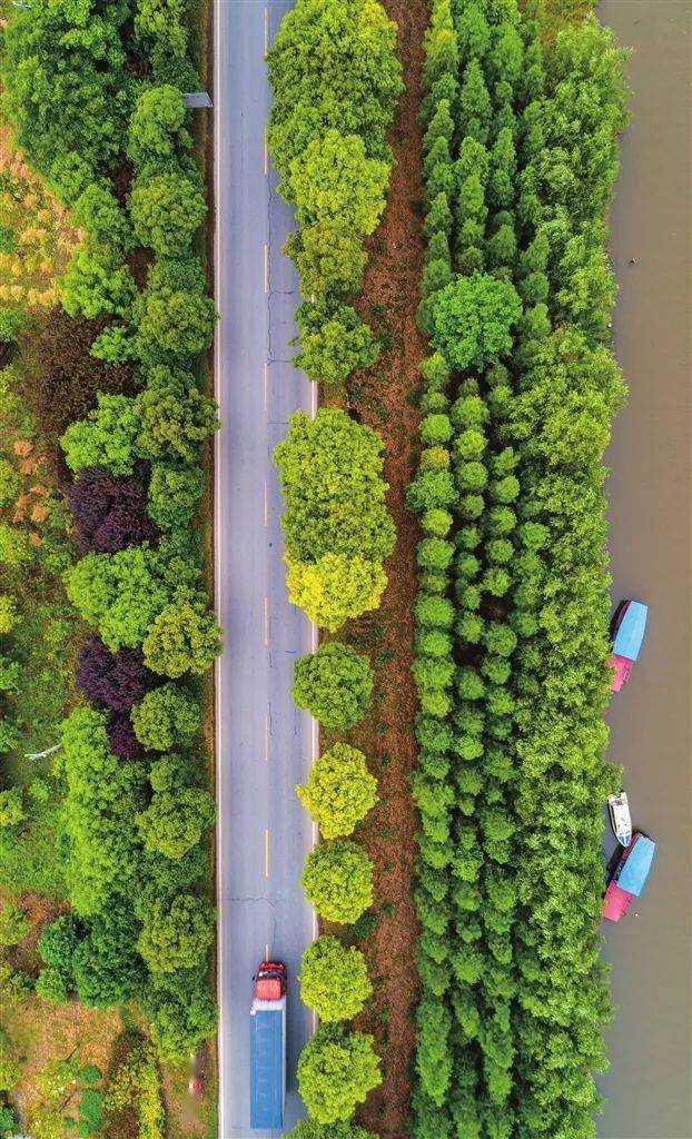 阿里云被罚款_阿里云ss被警告会怎么样_阿里云ssr警告