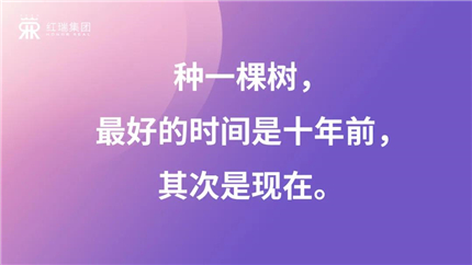 掌机王停刊了吗_掌机王sp最后一期_掌机王sp 2024年第242期