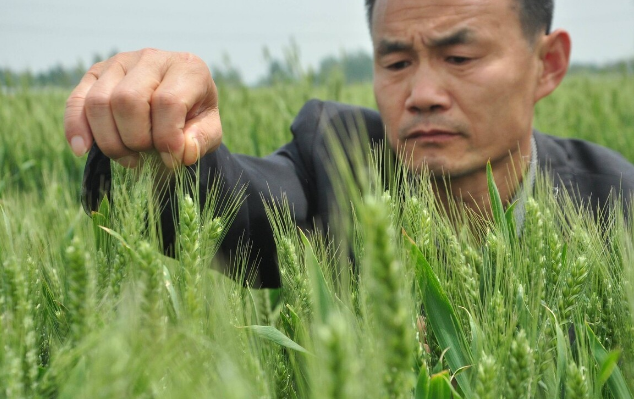 秦时明月分解装备返还多少材料_秦时明月分解装备返还多少材料_秦时明月分解装备返还多少材料