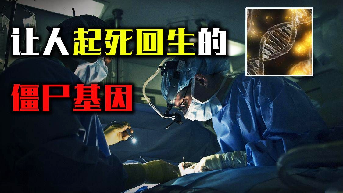 人死之后,一些僵尸基因会复活-揭秘！人死之后，沉睡的僵尸基因竟然还能复活，这背后