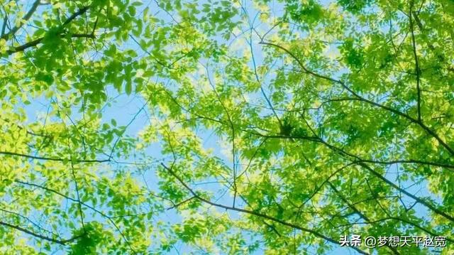 网络游戏公司营业执照_网络游戏营业执照经营范围_营业执照网络游戏公司怎么注册