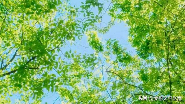 营业执照网络游戏公司怎么注册_网络游戏营业执照经营范围_网络游戏公司营业执照