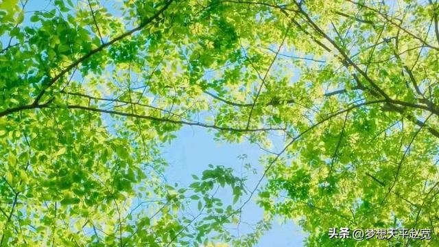 网络游戏公司营业执照_营业执照网络游戏公司怎么注册_网络游戏营业执照经营范围