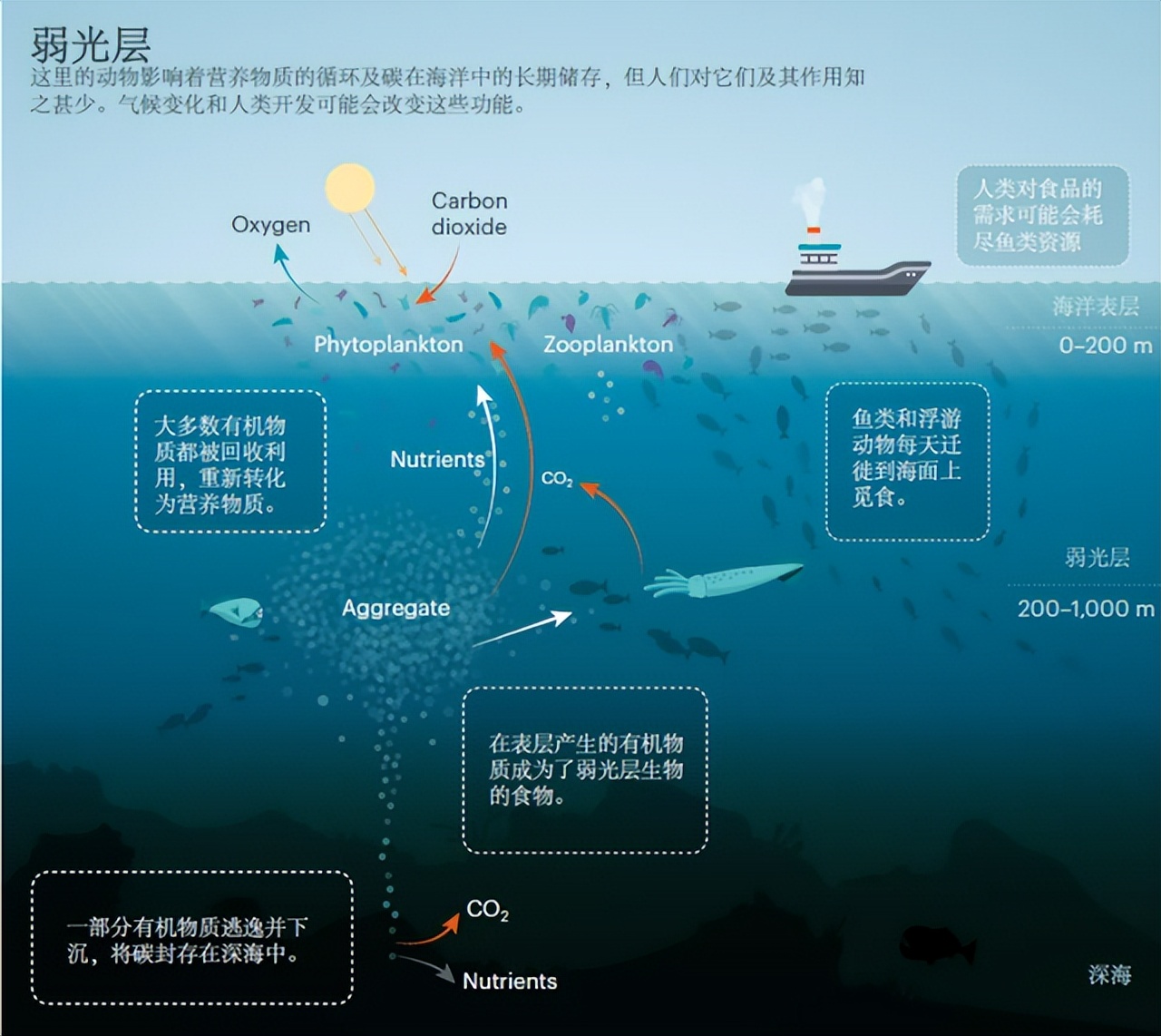 推广链接软件_链接推广软件下载_链接推广软件有哪些