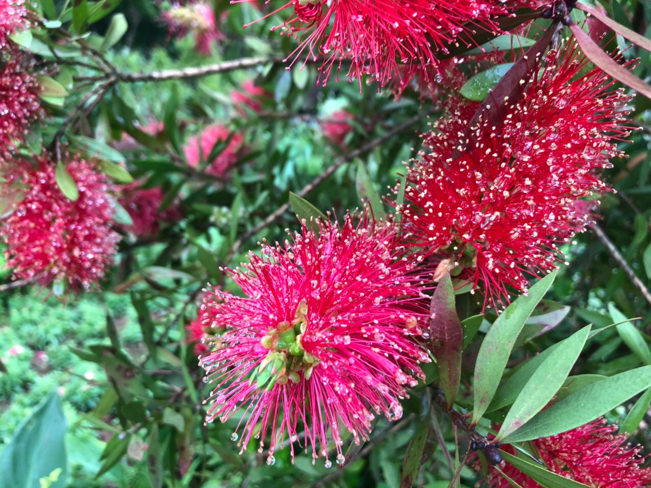 花刺代理连接失败不匹配_花刺代理连接失败不匹配_花刺代理连接失败不匹配