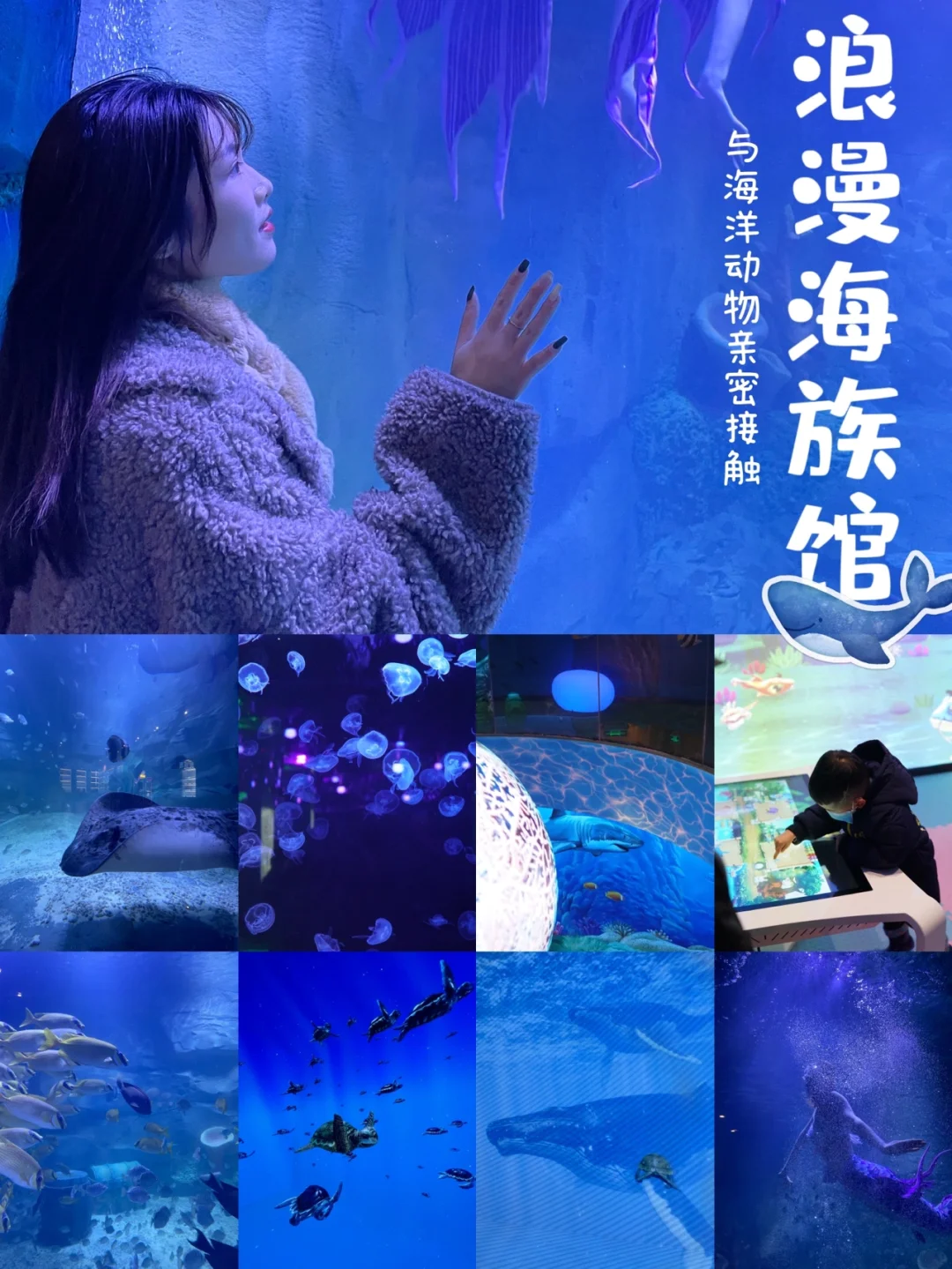 水族馆美人鱼幕后生活_水族馆快乐的养鱼游戏美人鱼_水族馆里的小美人鱼