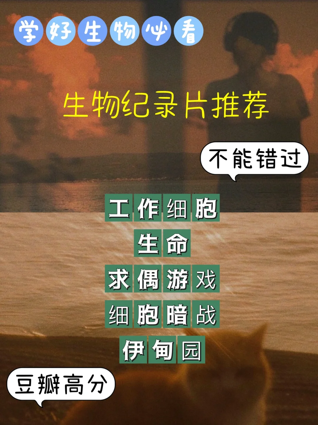 画中画玩游戏_yy游戏画中画使用帮助_画中画游戏攻略