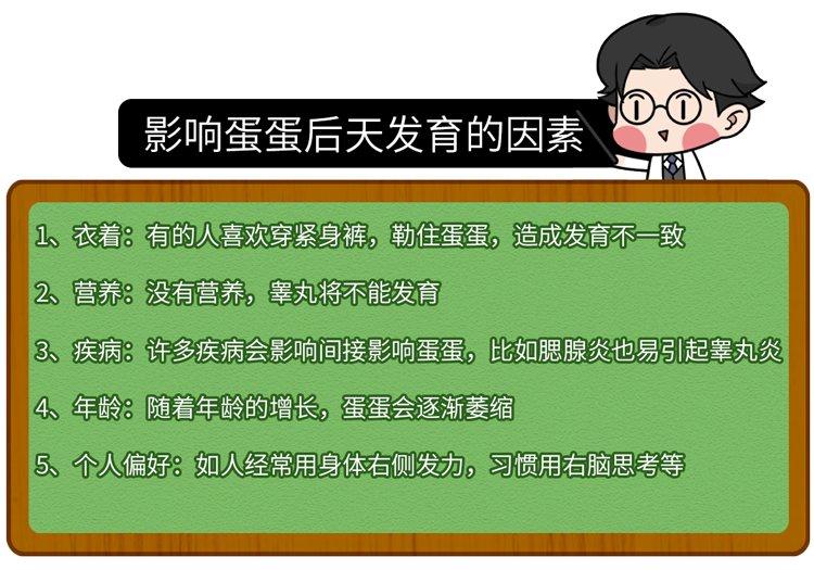 蛋蛋赚钱怎么提现_蛋蛋赚真的可以提现么_蛋蛋赚能提现吗